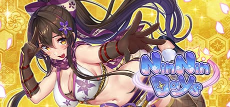 NinNinDays: A Ninja's Tale of Training and Espionage