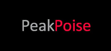 PeakPoise VR: バーチャル楽器で舞台恐怖症を克服