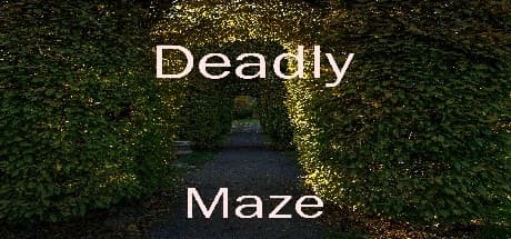 Deadly Maze: Old-School Arcade Shooter Fun for Friends