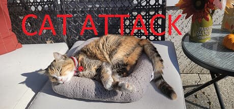 Cat Attack RPG：懐かしの90年代JRPGへの愛が詰まったターン制バトル