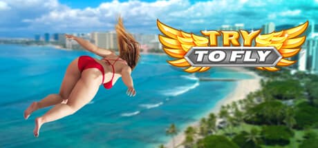 Try to Fly:笑えるシミュレーションで飛び込もう