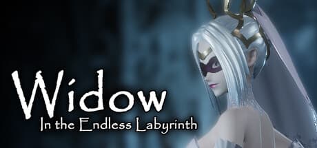 Widow in the Endless Labyrinth: Hack and Slash Roguelike Adventure