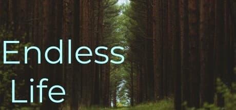 Endless Life: Geometric Puzzle Platformer with Timed Jumps