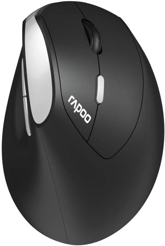 Rapoo EV250 Kabellose ergonomische Maus