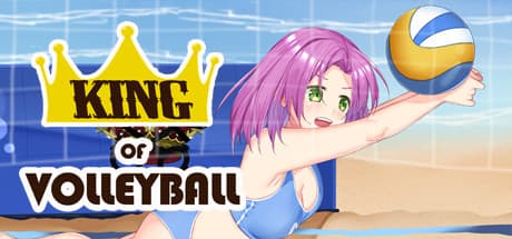 King of Volleyball: ビーチバレーの女王たちがトロピカルな島で再起を図るアドベンチャー