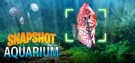 Snapshot Aquarium — Skillful Photography Meets Serene Aquascaping