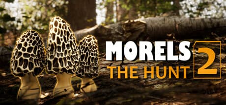 Morels: The Hunt 2 – Relaxing Mushroom Hunting & Photography Adventure