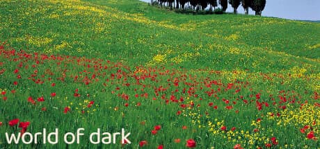 World of Dark:コートを支配せよ