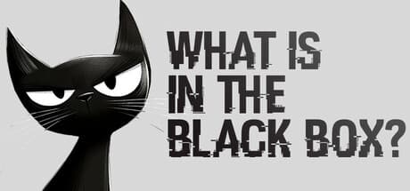What is in the Black Box?: 瞑想的なパズルで深遠な問いを探求